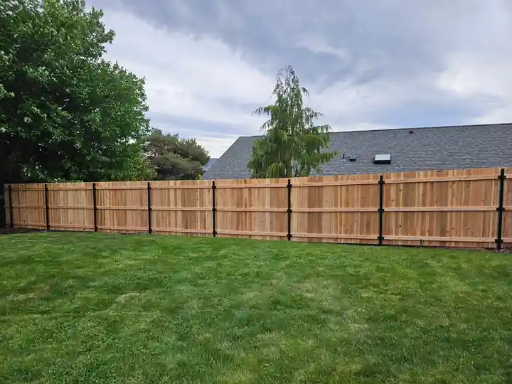 A long new cedar privacy fence on black steel posts running the full width of a green backyard